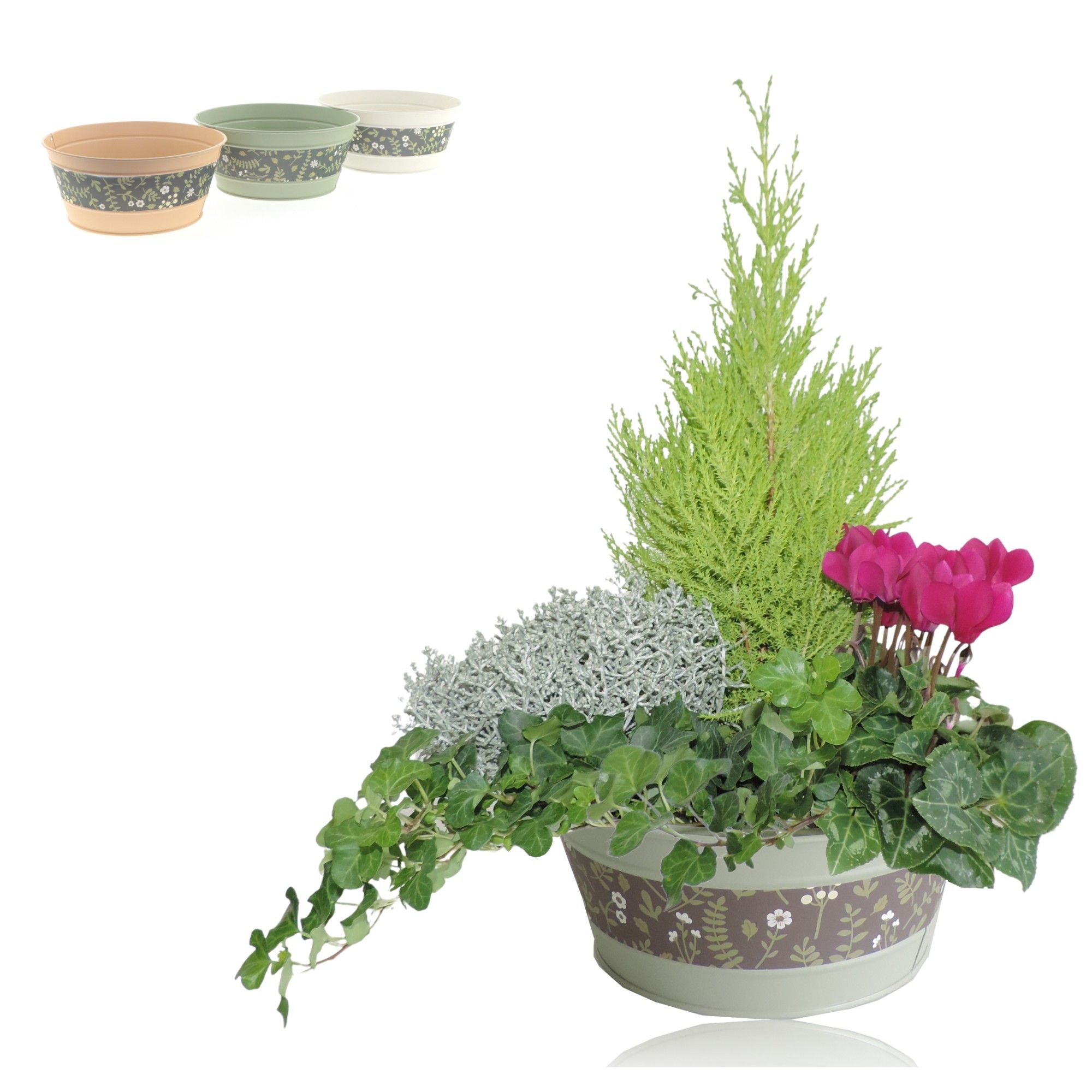 Collectie Florentina Arrangement in Zinken Schaal 21 cm, D 21