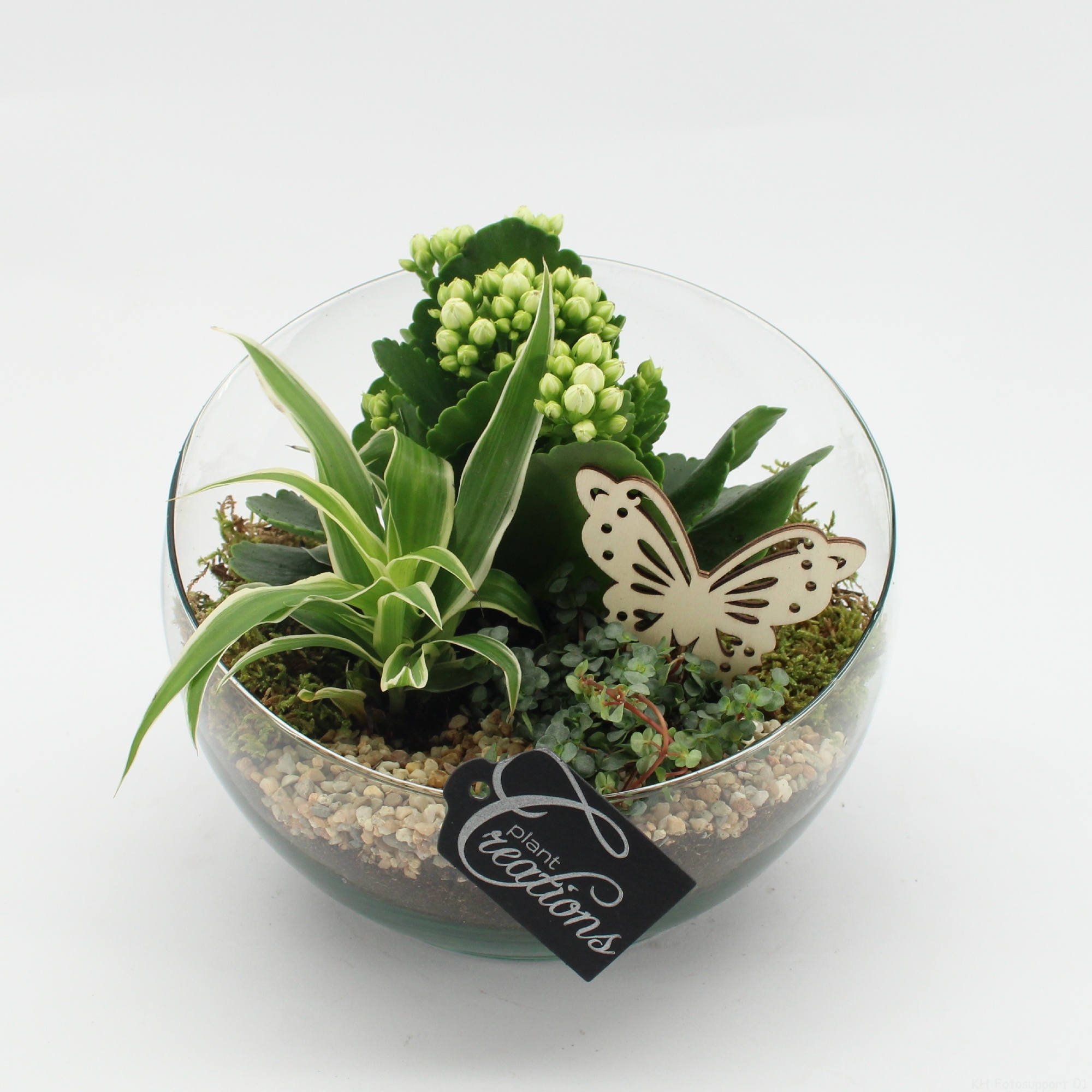 ESCR-2630W Essentials, D 18