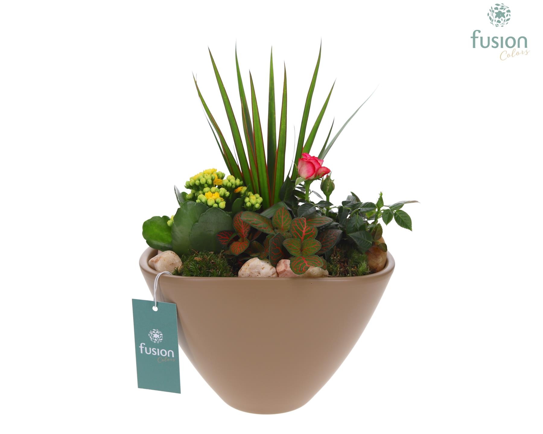 Pot keramiek Ovaal Large beige met Arrangement, D 21