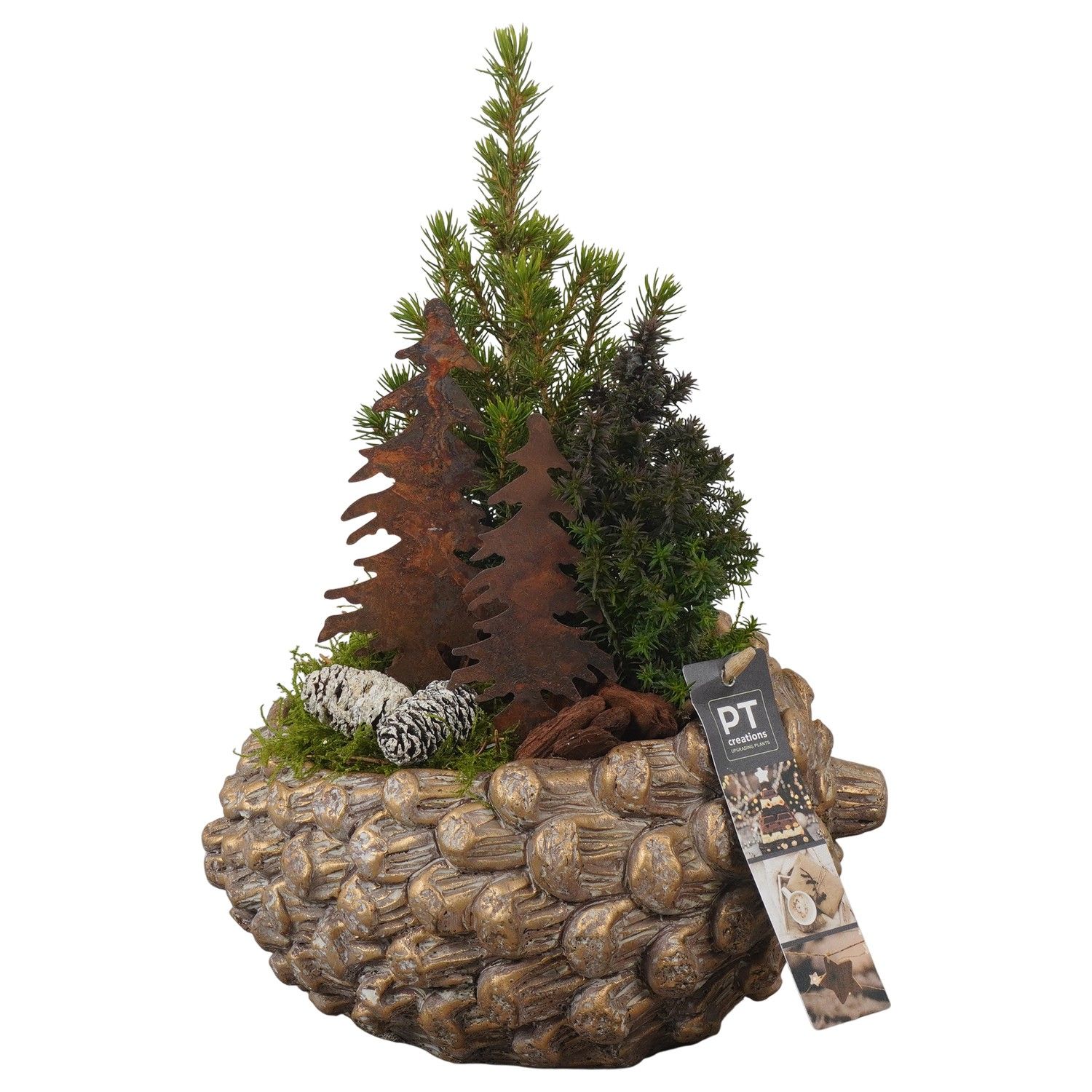 PTCWW6927 Arrangement Winter in beton pot, D 21 cm