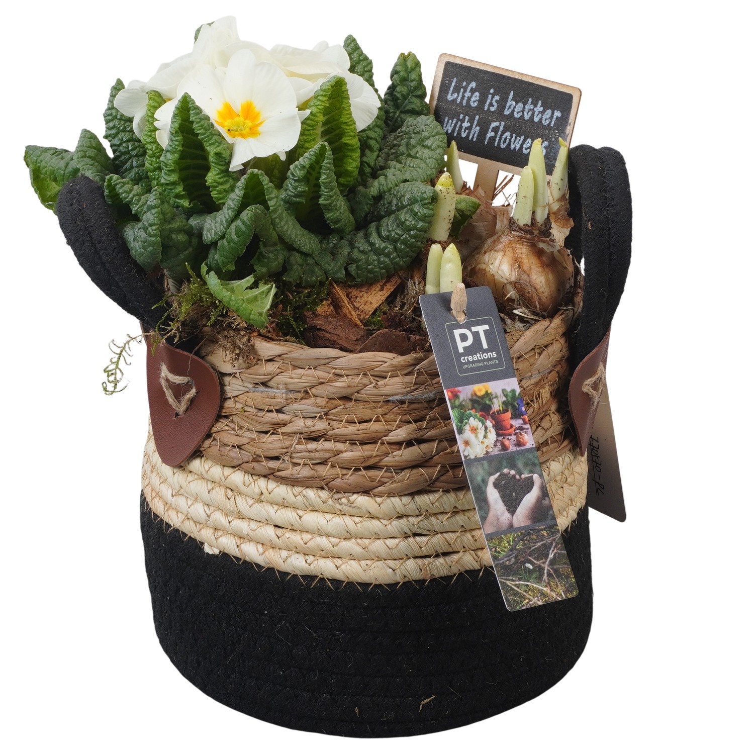 PTBM3830 Arrangement Flower Bulbs Mix in rieten mand, D 15