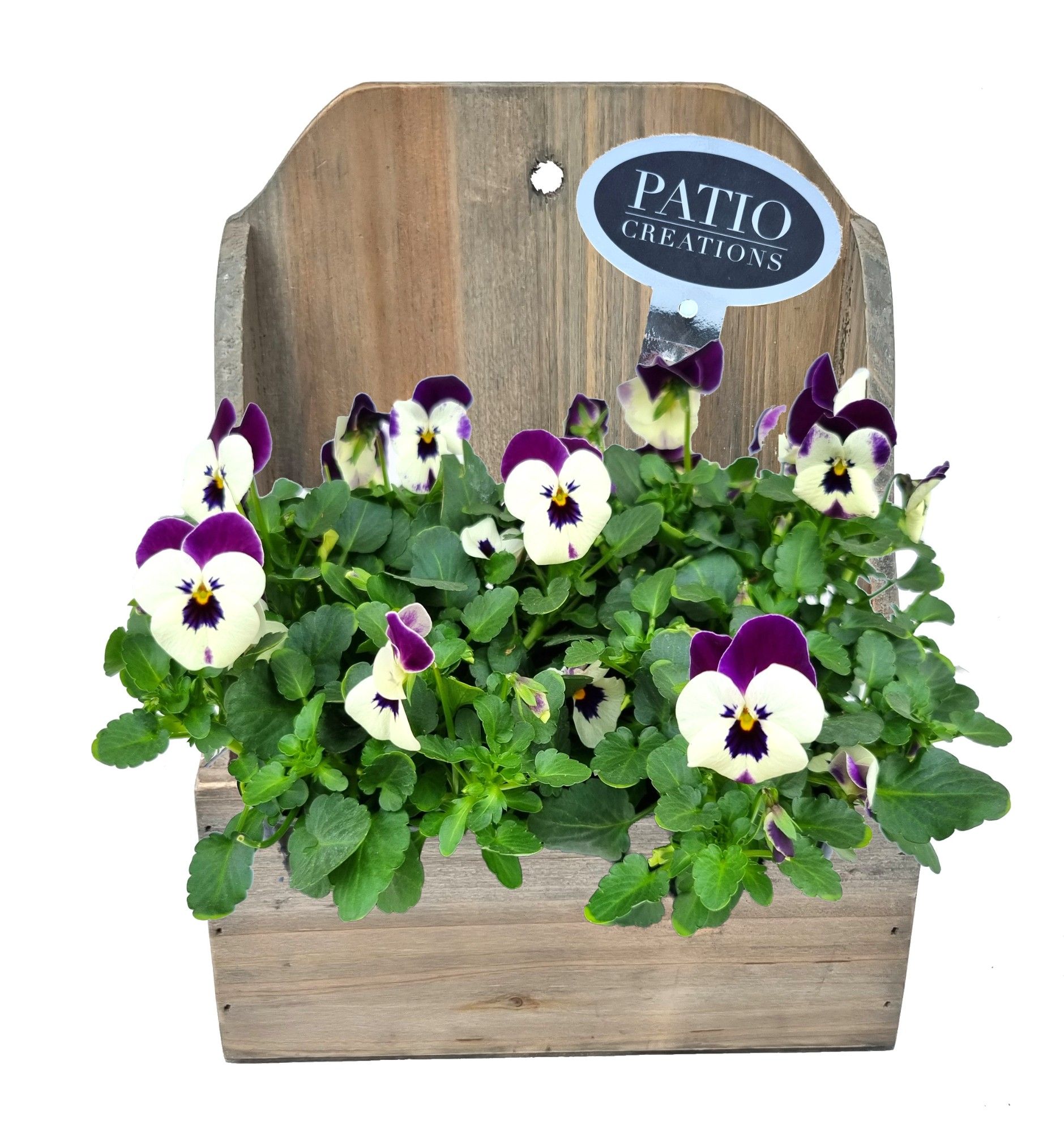 V791-9001 Viola wandhanger Bo S, D 19 cm V791-9001 Viola wandhanger Bo S, D 19 cm