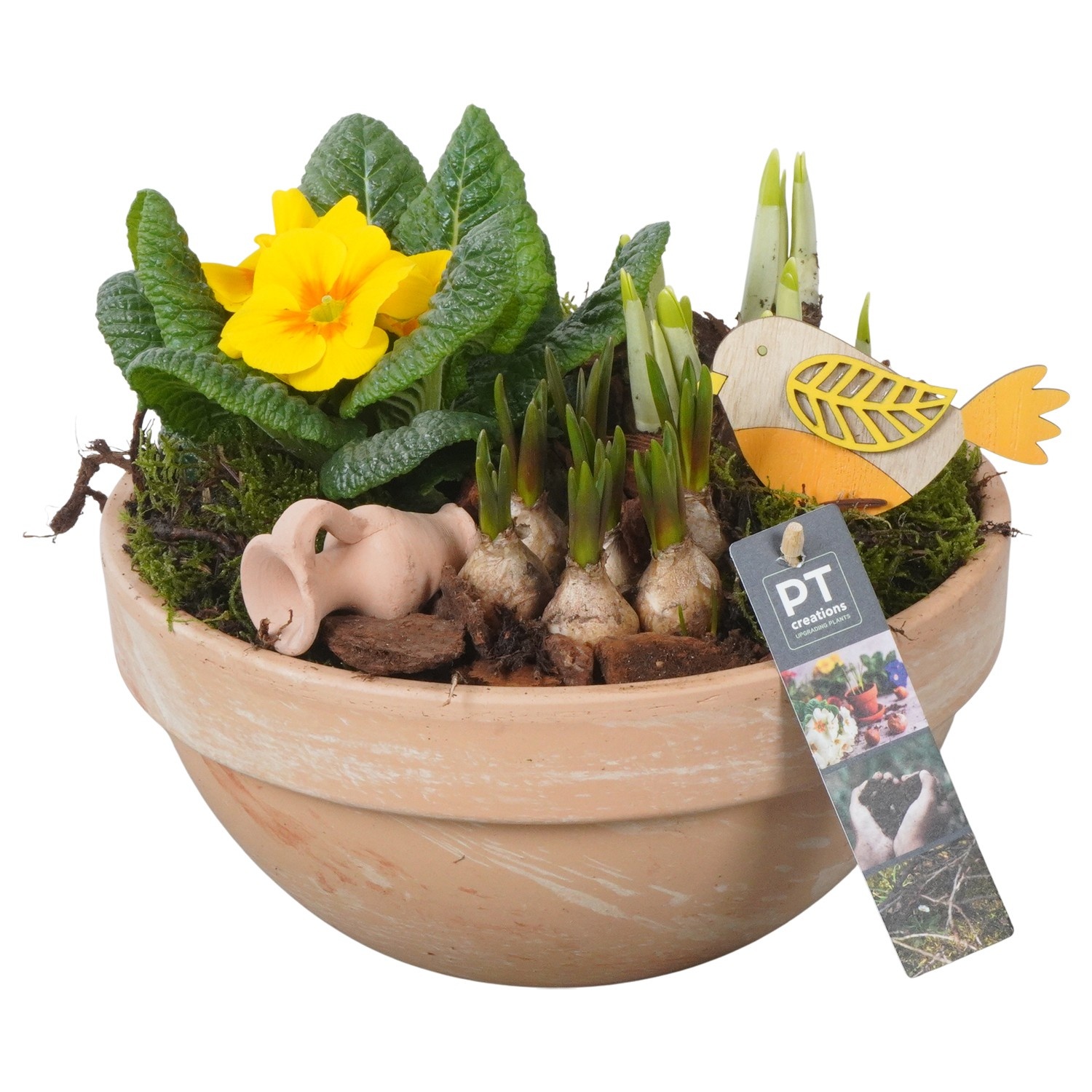 PTBM3883 Arrangement Flower Bulbs Mix in terracotta schaal, D 23