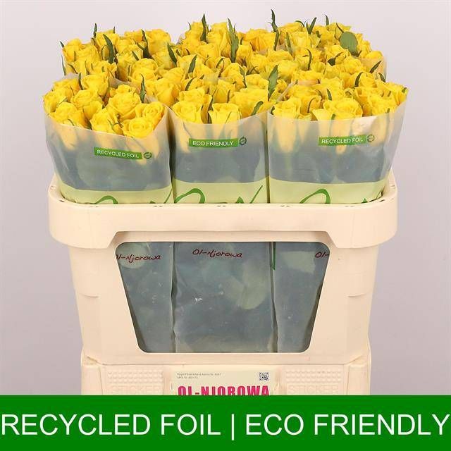 Роза од. Мунвок 70, шт.