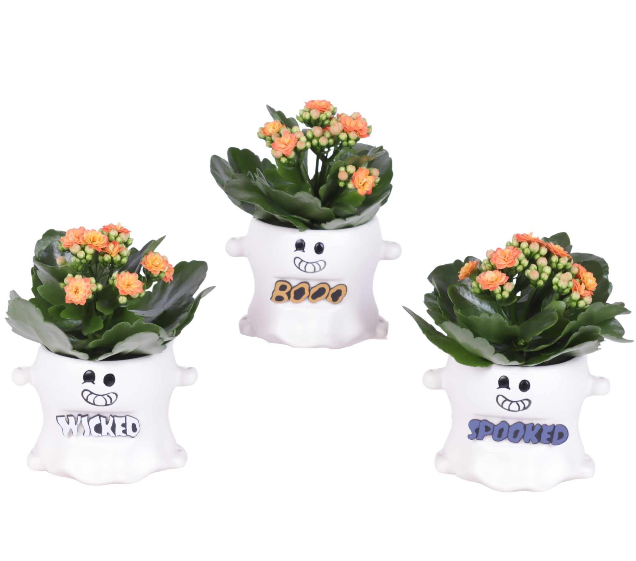 Halloween Arr. Indoor Ceramic Pot Funny Ghost Ø12cm 1PP, D 12 cm Halloween Arr. Indoor Ceramic Pot Funny Ghost Ø12cm 1PP, D 12 cm