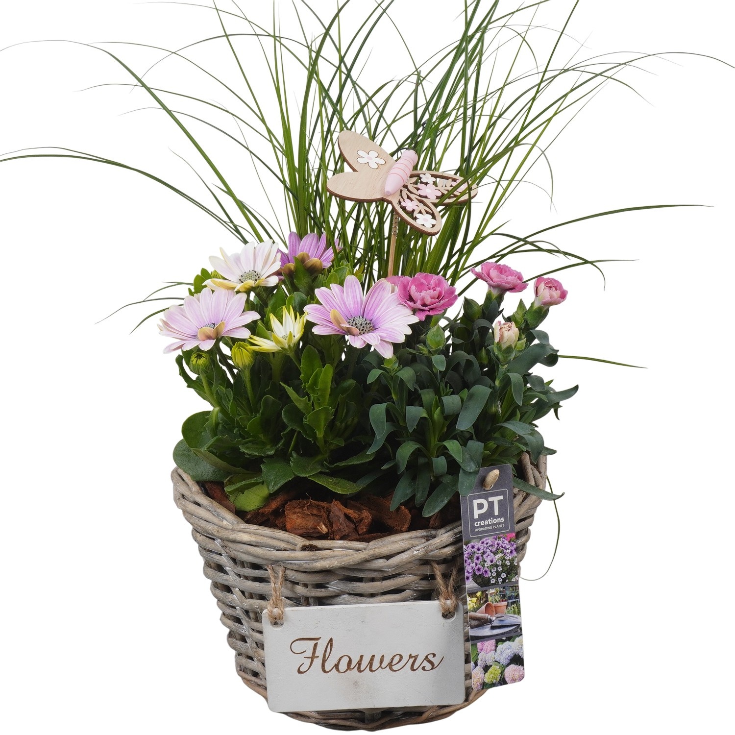 PTPP6958 Arrangement Patio in rieten mand, D 20