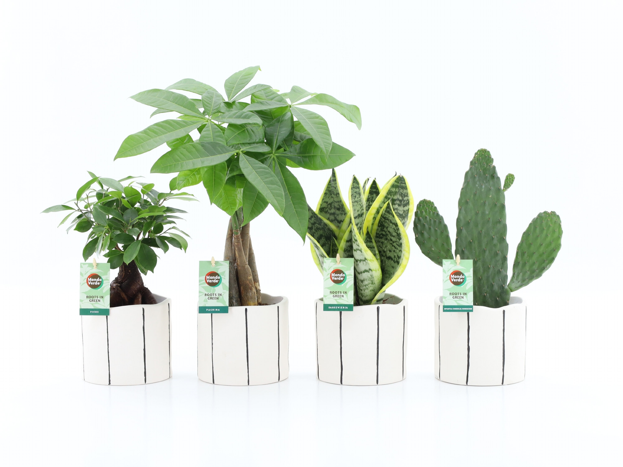 Asia Mix in Banksy keramiek, D 13