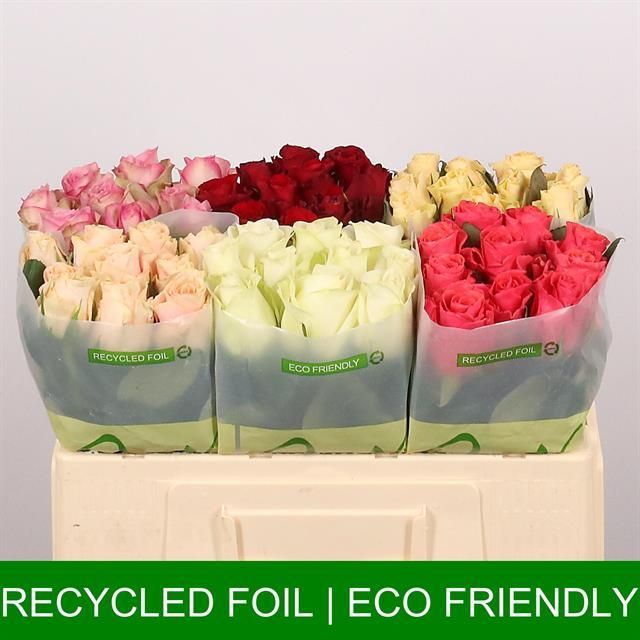 Роза од. Микс в баке 50, шт.