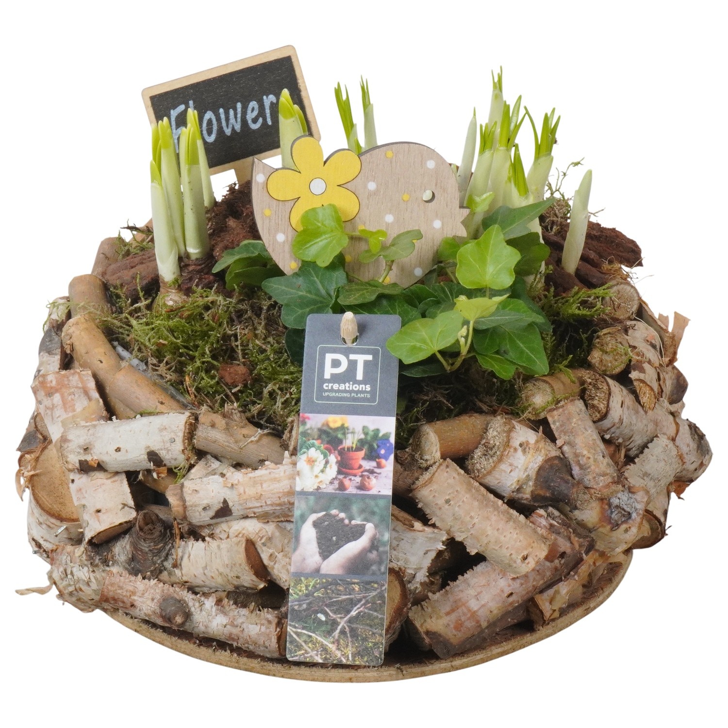 PTBM3902 Arrangement Flower Bulbs Mix in houten pot, D 23