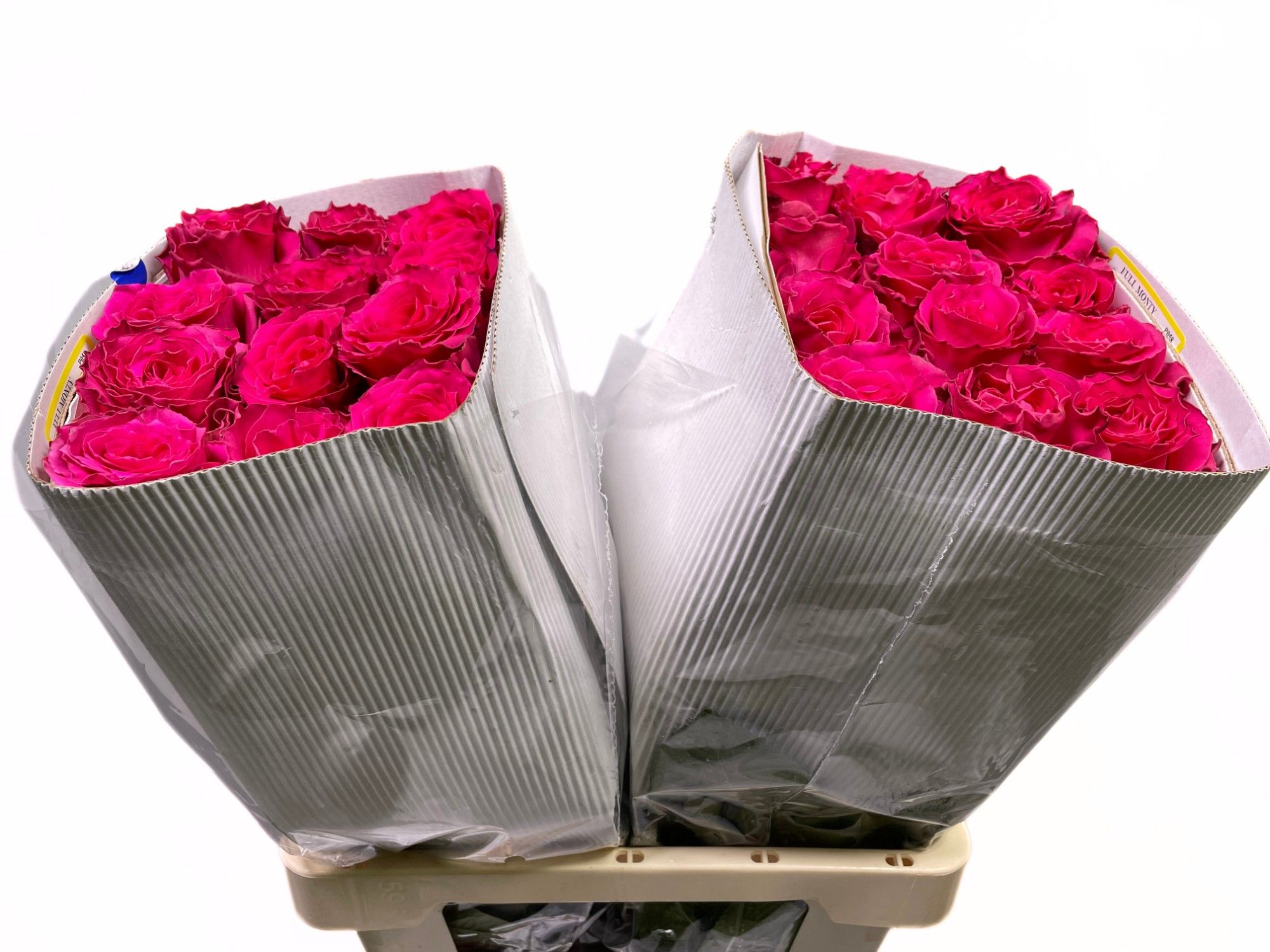 Роза од. Фул Монти 50 (ярко-роз.), шт.