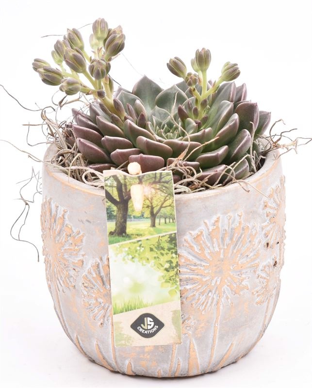 Cement pot bloemdecor 11,5cm, D 12