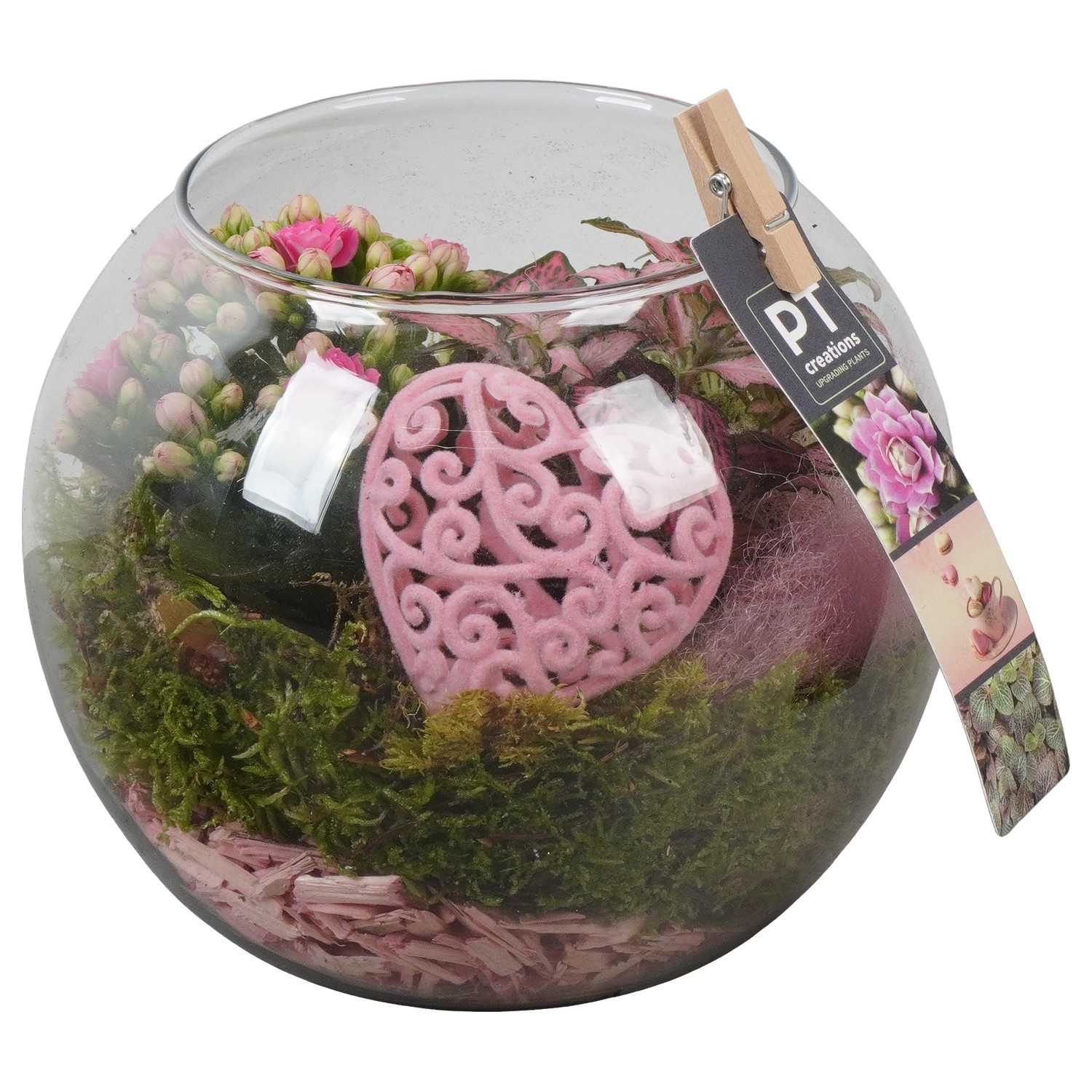 PTVMG4986 Arrangement Valentines-Mothersday in glas bol, D 16