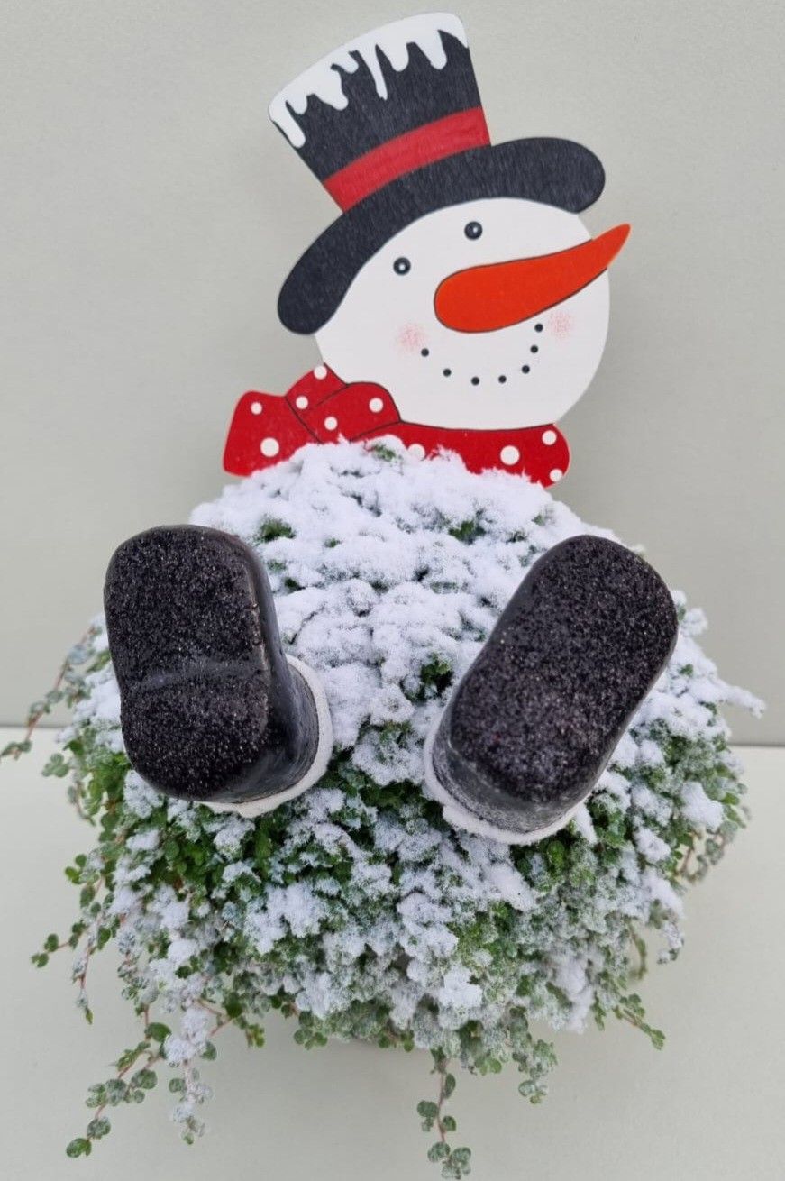 K70 sneeuwpop, D 13 cm K70 sneeuwpop, D 13 cm