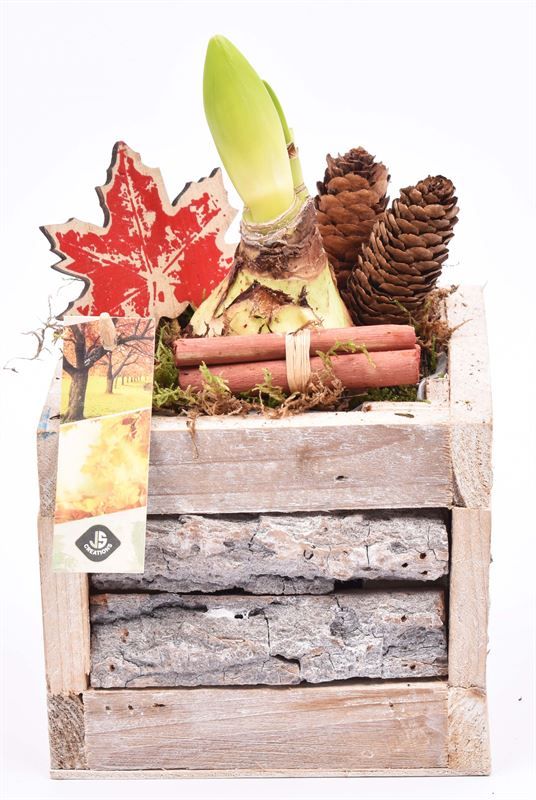 Hout met boomschors 15x15cm, D 15 cm