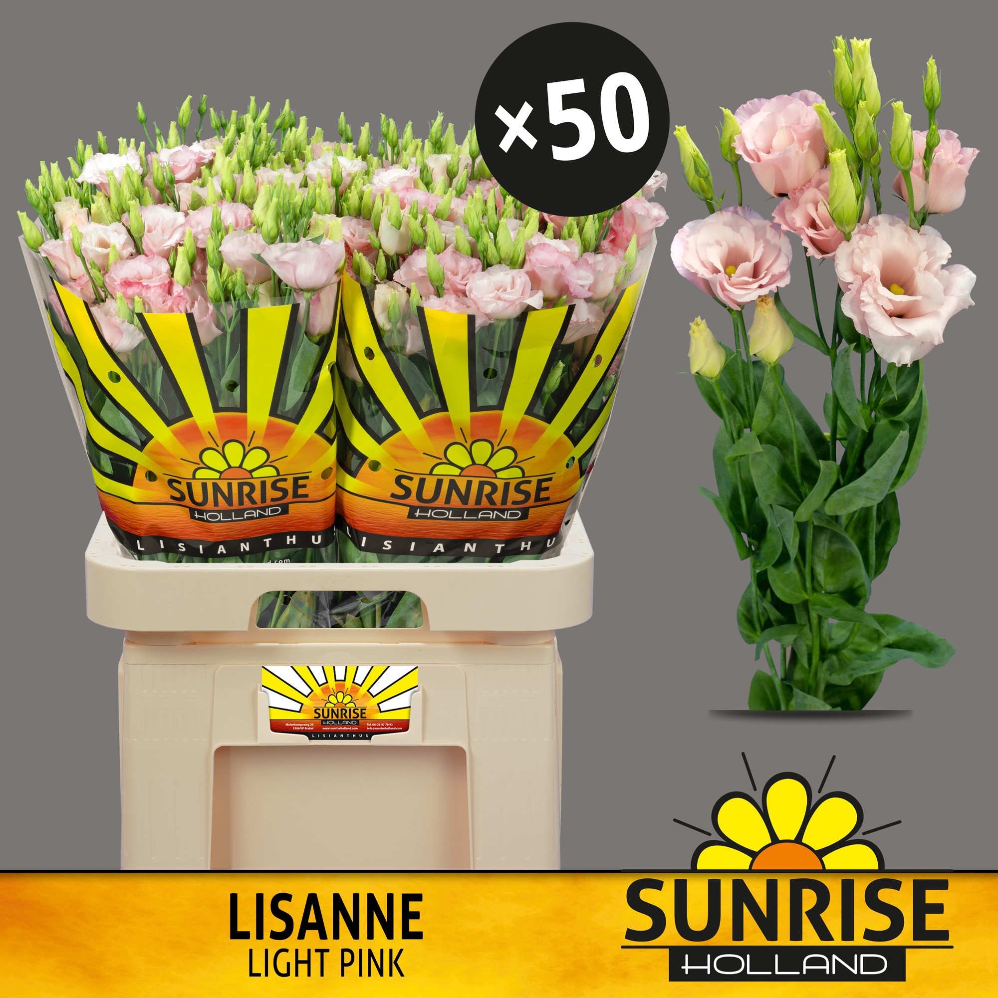 Эустома Лизанне Лайт Пинк 70 (светло-роз.), шт.