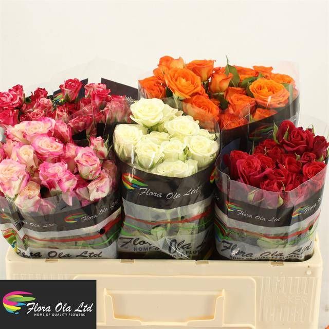 Роза куст. Микс в баке 50, шт. Роза куст. Микс в баке 50, шт.