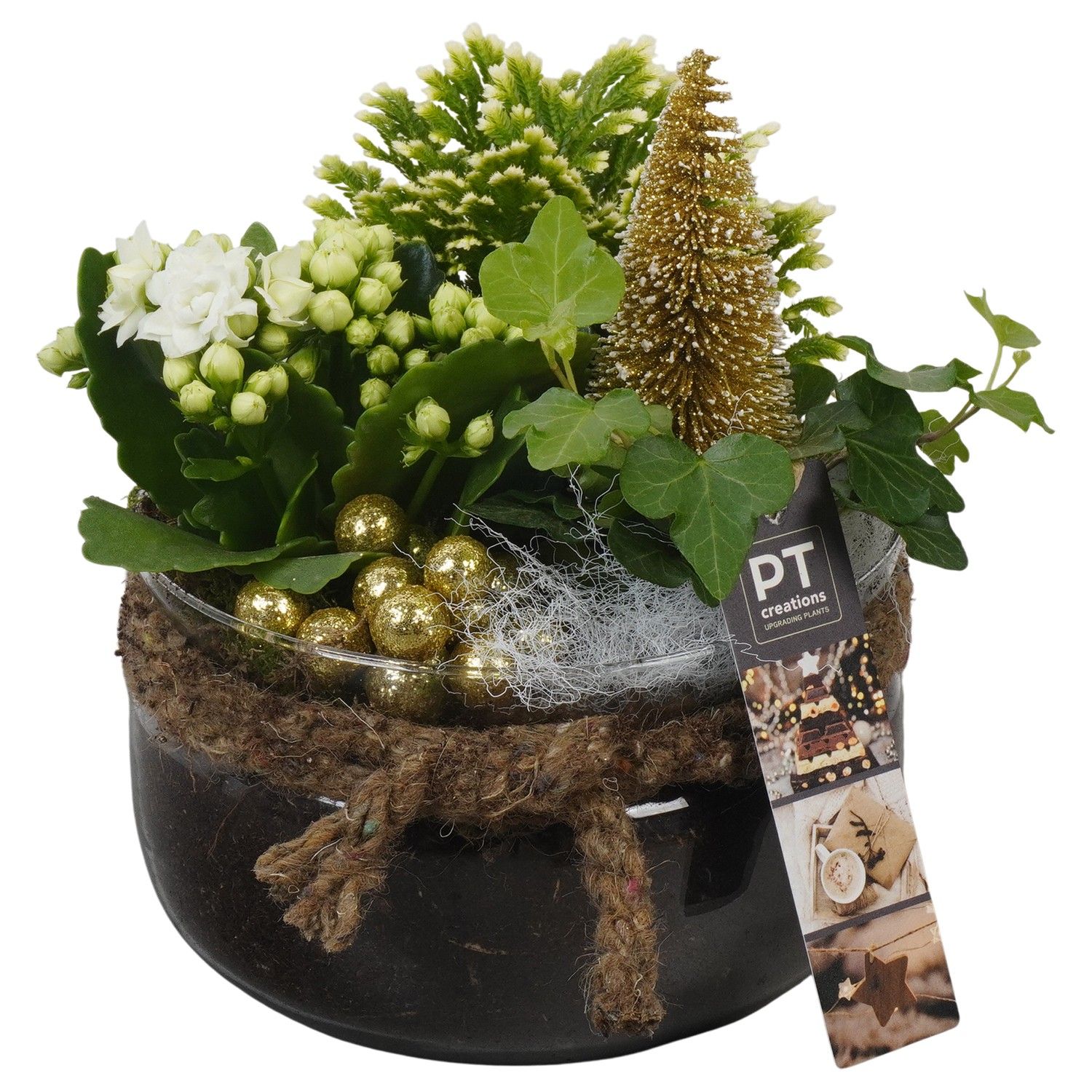 PTCHG5728 Arrangement Christmas Gold in glas schaal, D 16 cm