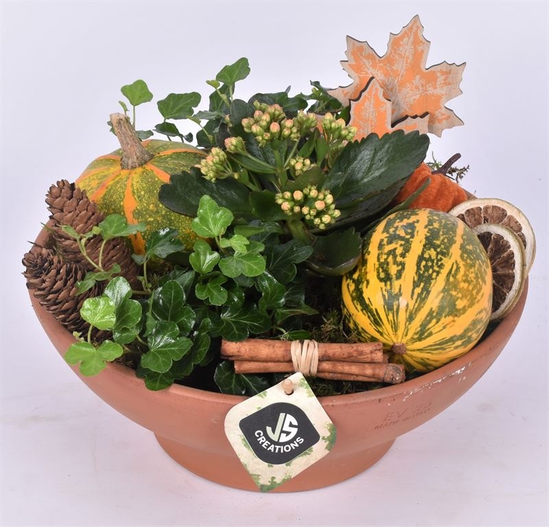 Terracotta schaal 26 cm, D 27 cm