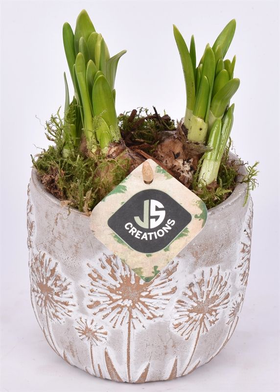 Cement pot bloemdecor 11,5cm, D 12
