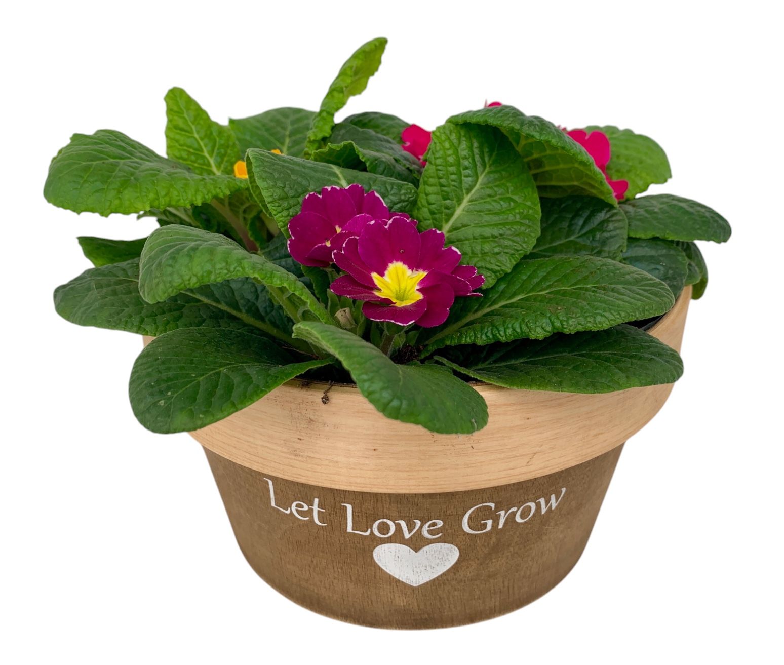 Love rond Hout 3x prim gemengd 536, D 20 cm