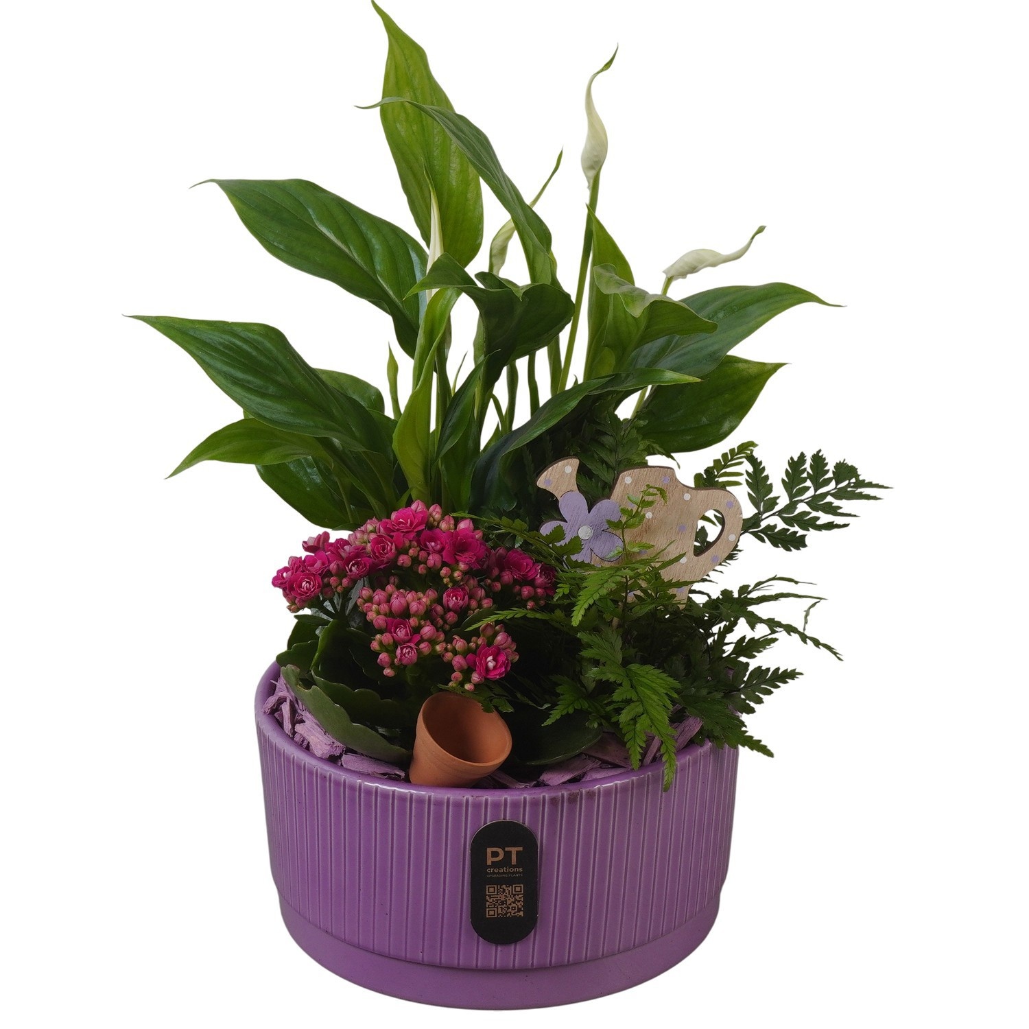 PTIB5118 Arrangement Indoor in keramiek schaal, D 19