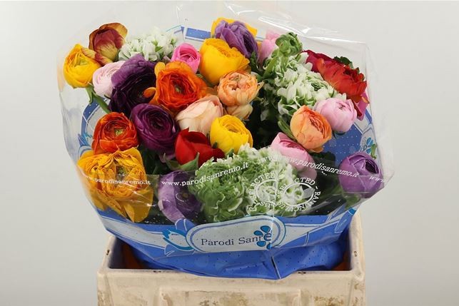 Ранункулус Микс в пачке 40, шт.