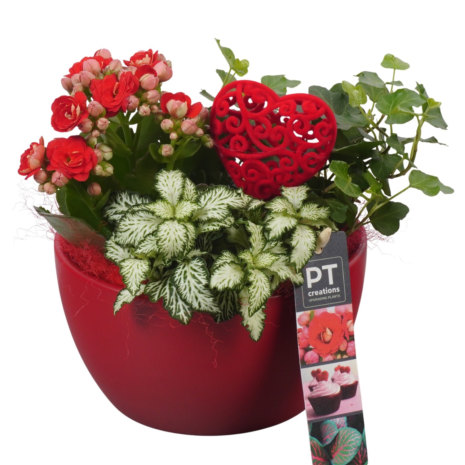PTVMB2203 Arrangement Valentines-Mothersday in keramiek schaal, D 15