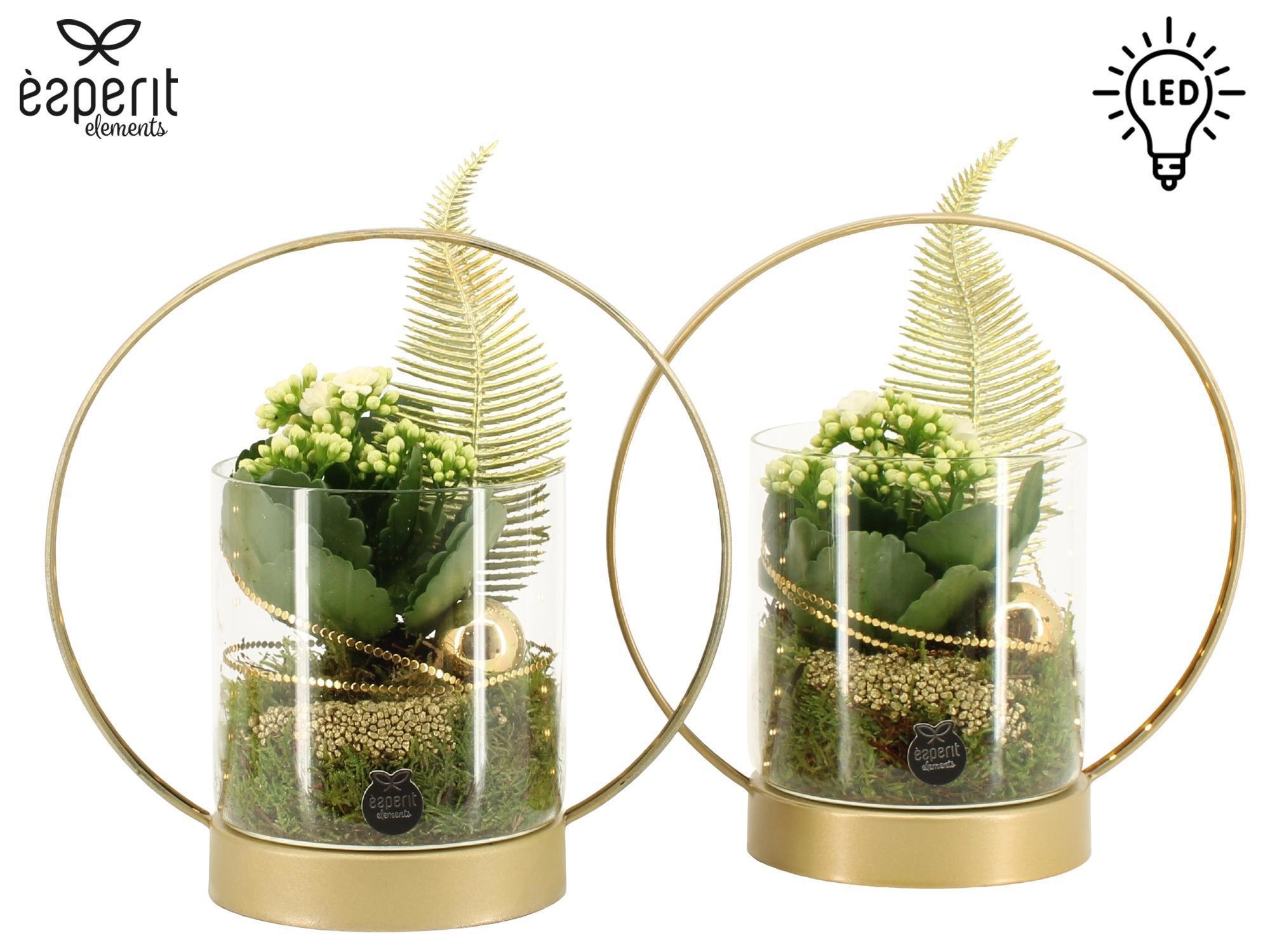 62047: X-mas arrangement met LED, D 22