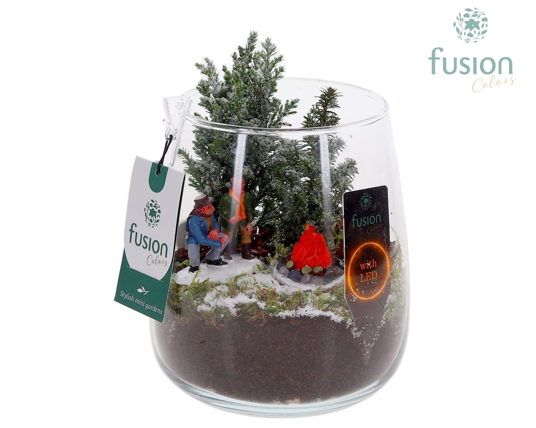 Glas Alzada klein met Kerst arrangement, D 15 cm Glas Alzada klein met Kerst arrangement, D 15 cm