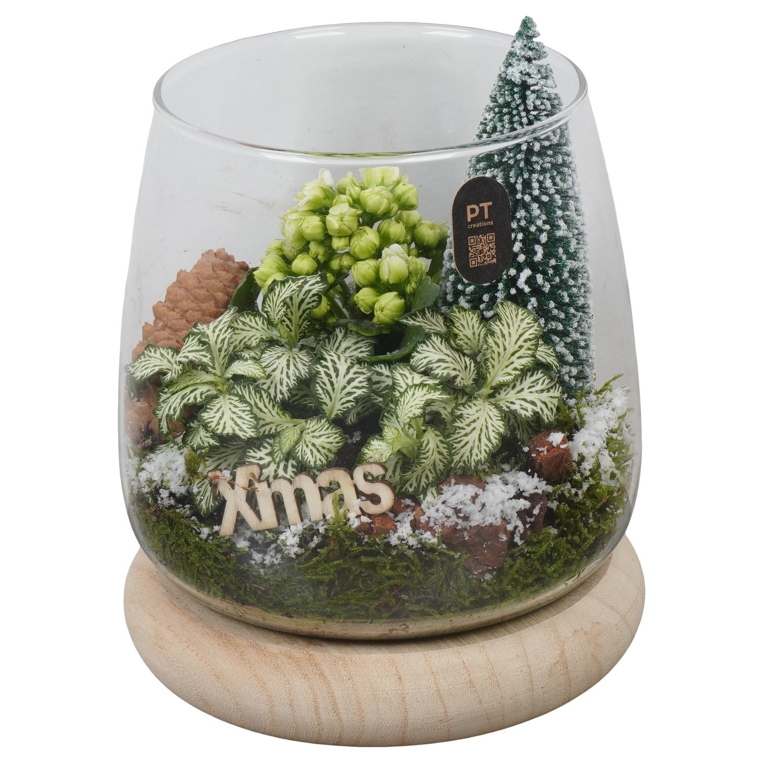 PTCHGR1907 Arrangement Christmas Green in glazen vaas, D 16