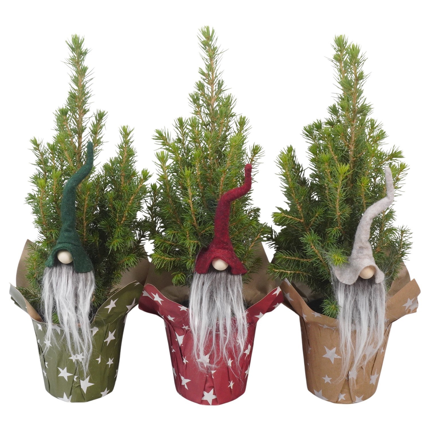 PTK26113 Conica Perfecta in papieren potcover met decoratie, D 9