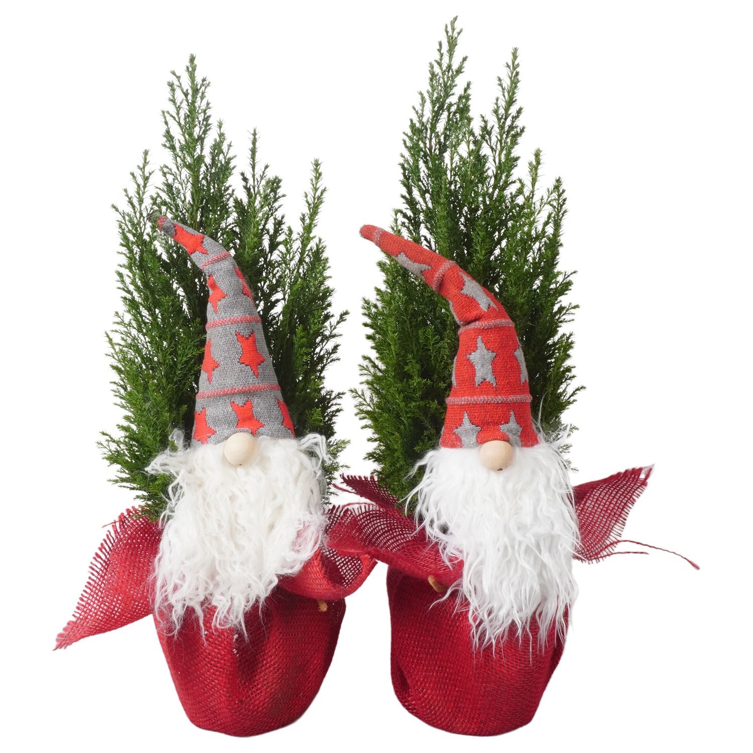 PTK26909 Ellwoodii in jute met decoratie, D 13