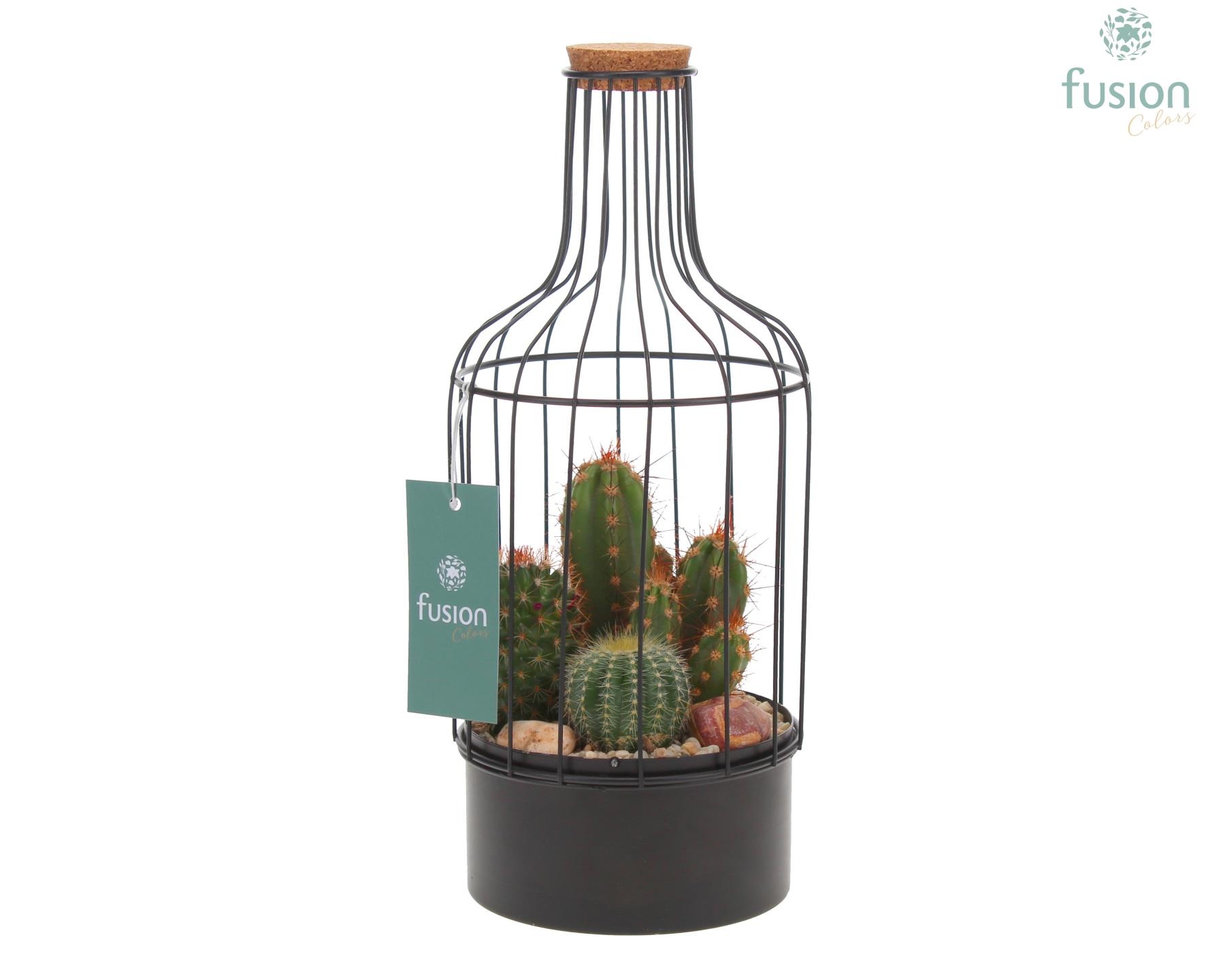 Fles metaal zwart Small met Cactussen, D 13 cm Fles metaal zwart Small met Cactussen, D 13 cm