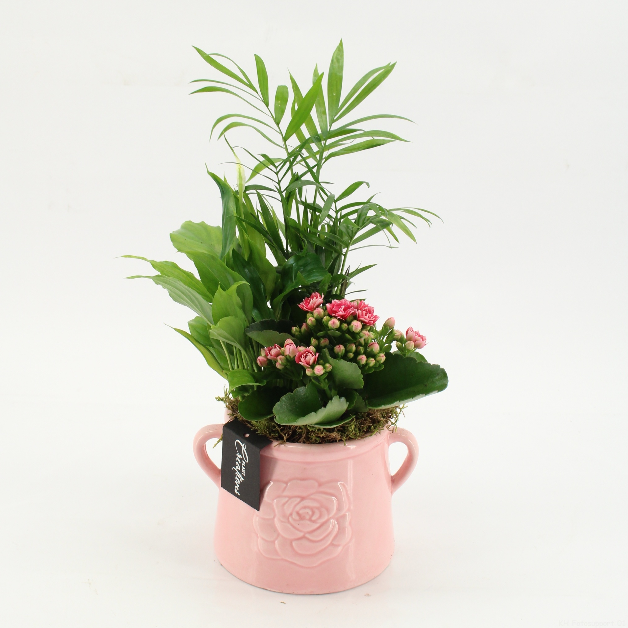 ESCR-2603RZ Essentials, D 16