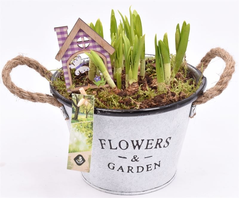 Zink schaal Flowers & Garden 18cm, D 18