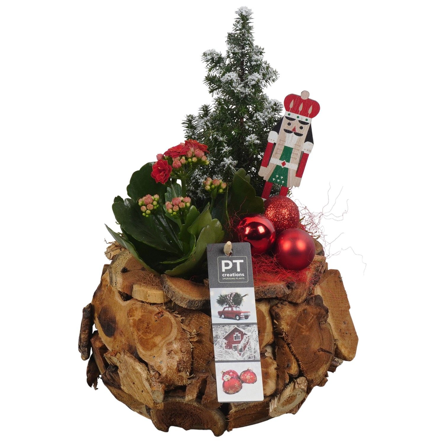 PTCHR7355 Arrangement Christmas Red in houten pot, D 21 cm