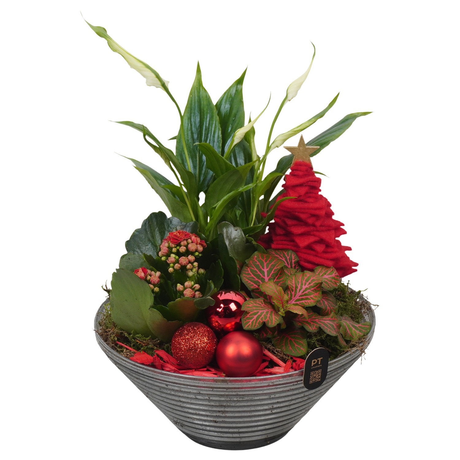PTCHR9528 Arrangement Christmas Red in glas schaal, D 19