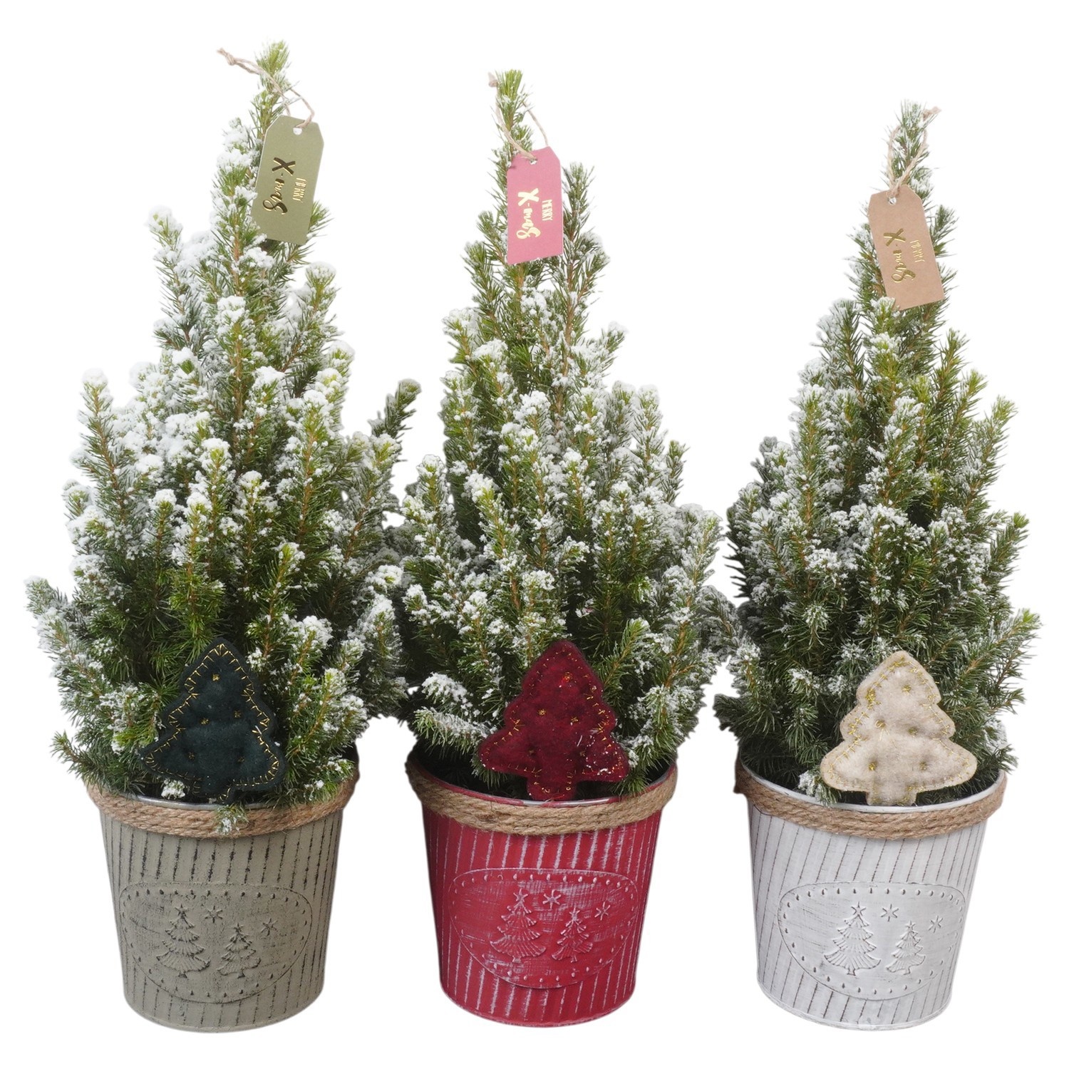 PTK26358 Conica Perfecta met sneeuw in zink mix met decoratie, D 14