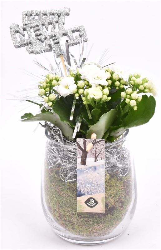 Glas cilinder 9x11cm, D 9