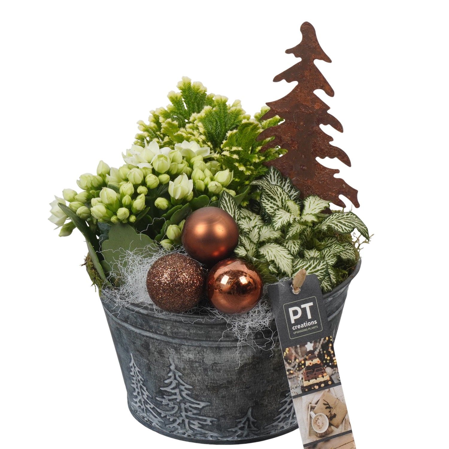 PTCHB9788 Arrangement Christmas Bronze in metalen pot, D 15 cm