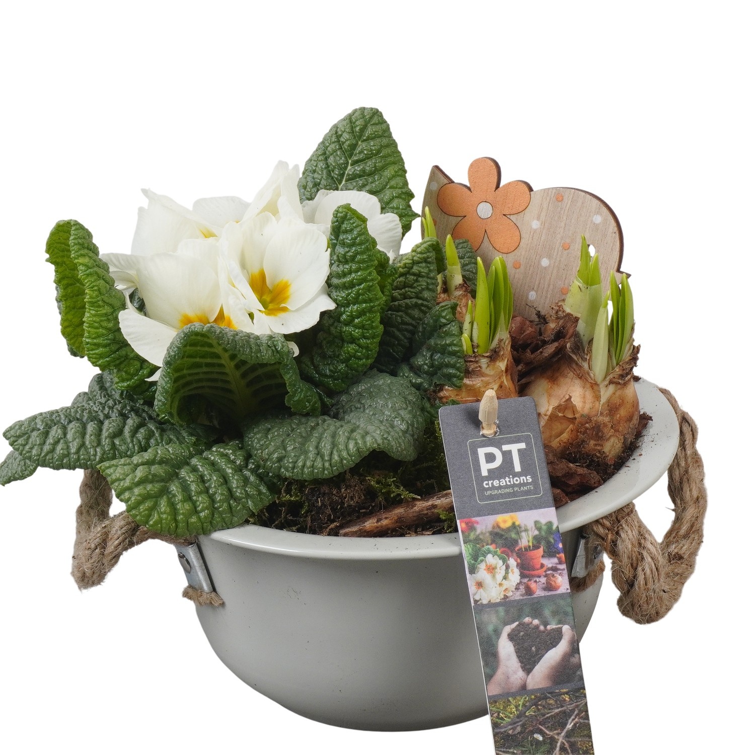 PTBM3716 Arrangement Flower Bulbs Mix in metalen schaal, D 18