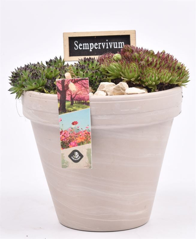 Keramiek pot granit 16 cm, D 16