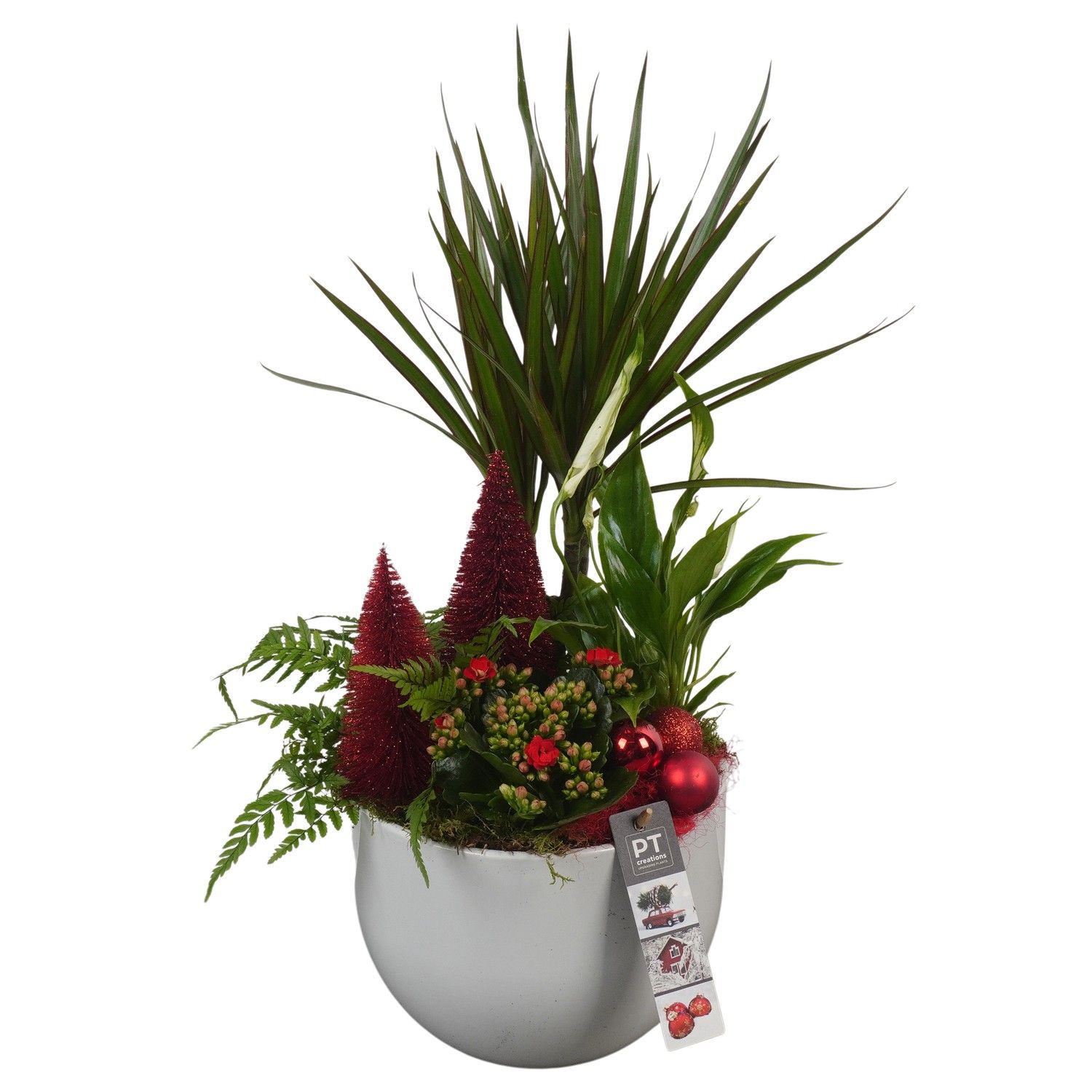 PTCHR7251 Arrangement Christmas Red in keramiek pot, D 19 cm