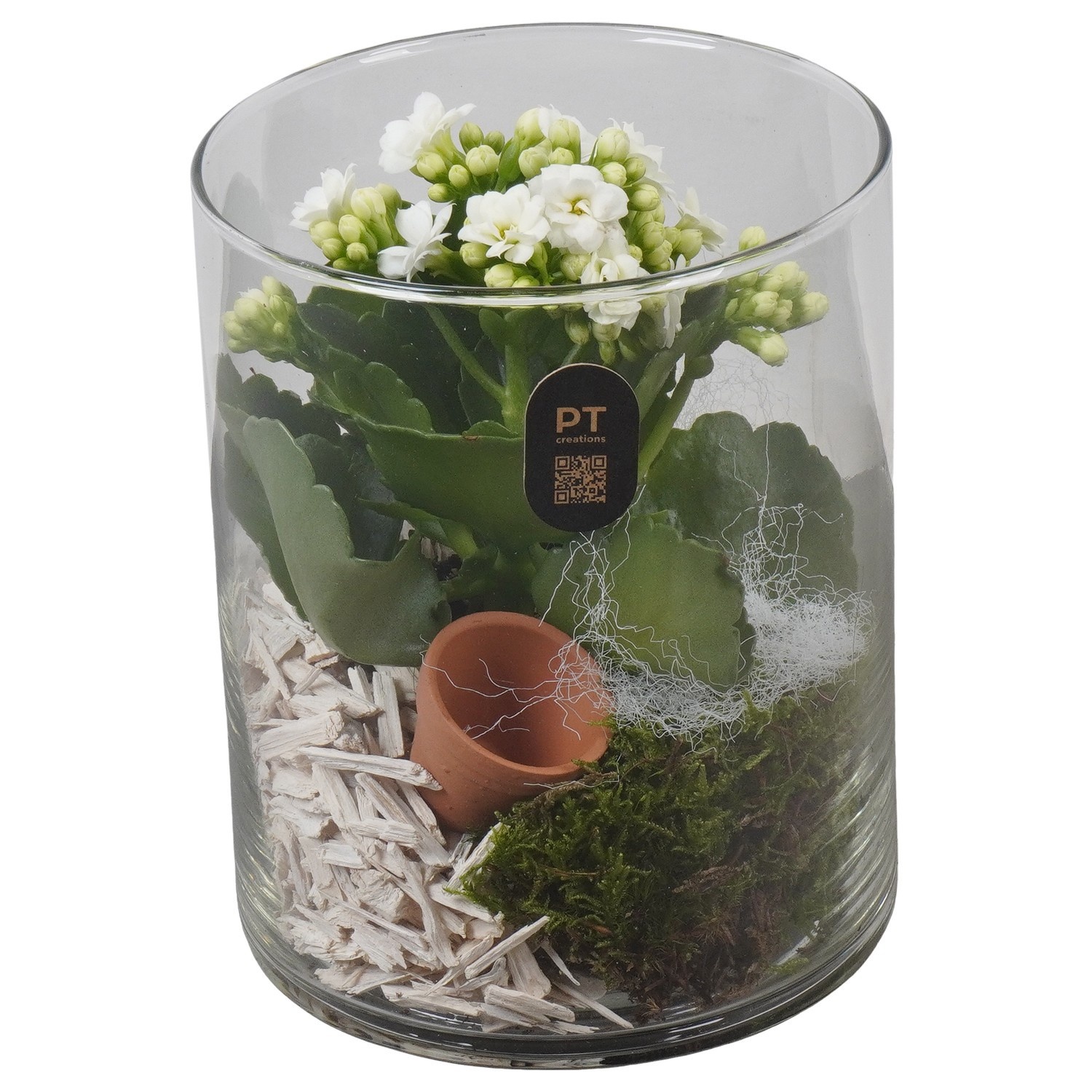 PTIG2688 Arrangement Indoor in glazen vaas, D 12