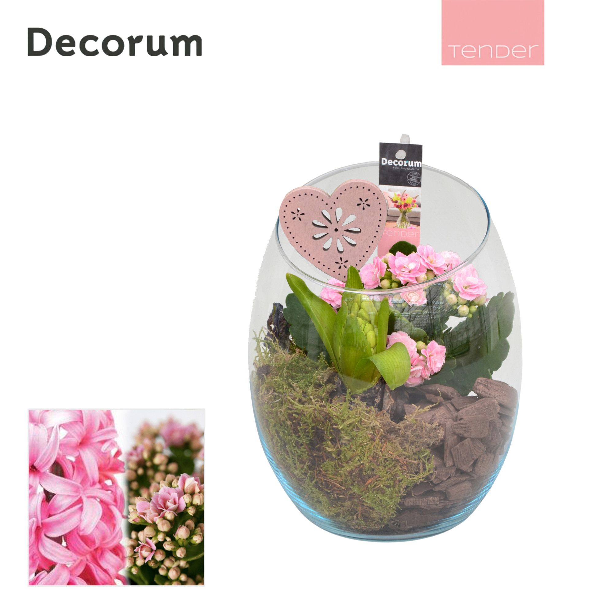 Calandiva & Hyacint Oblique HL21174PP [TENDER], D 15