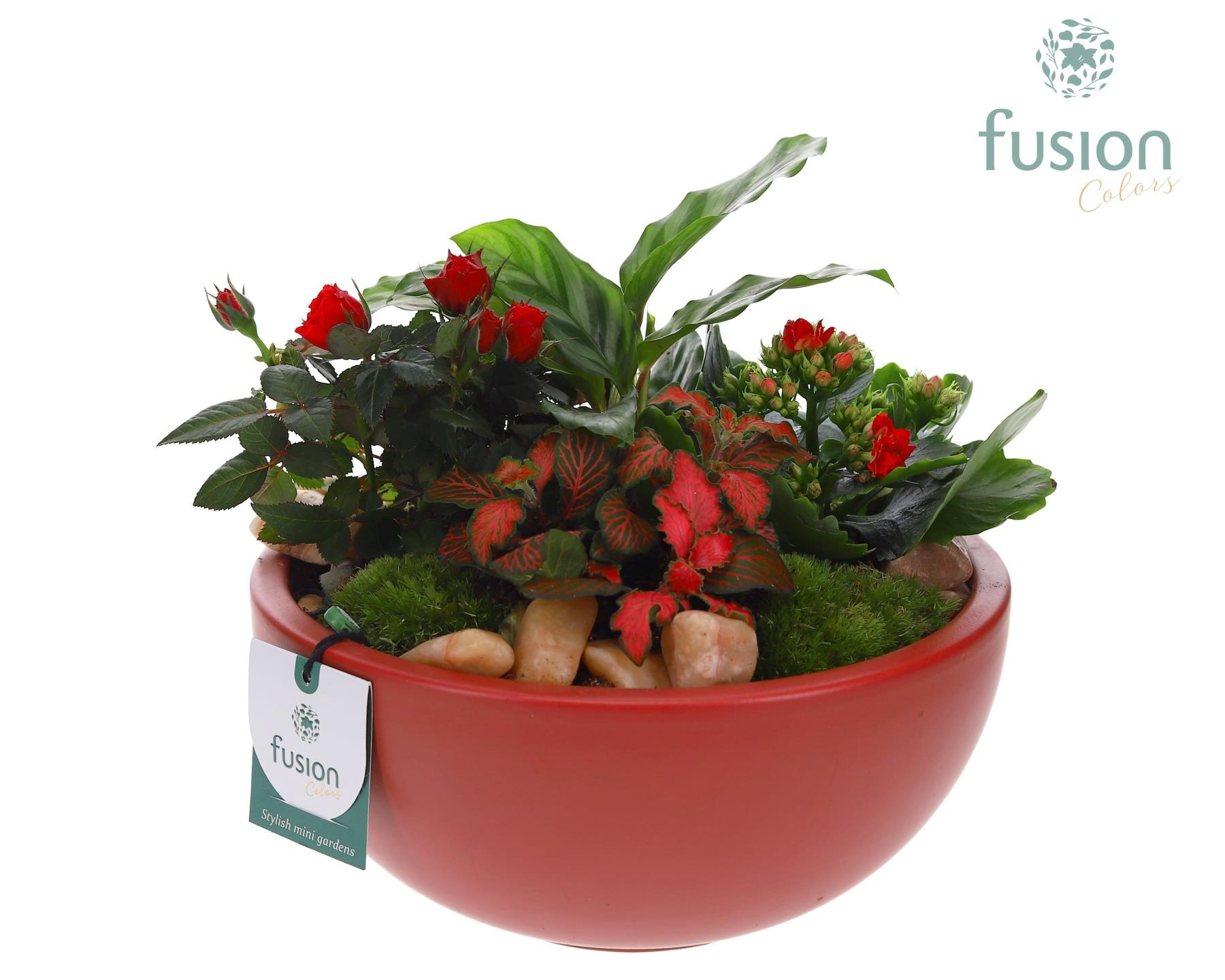 Schaal keramiek Moon Large marsala rood Love met arrangement, D 22