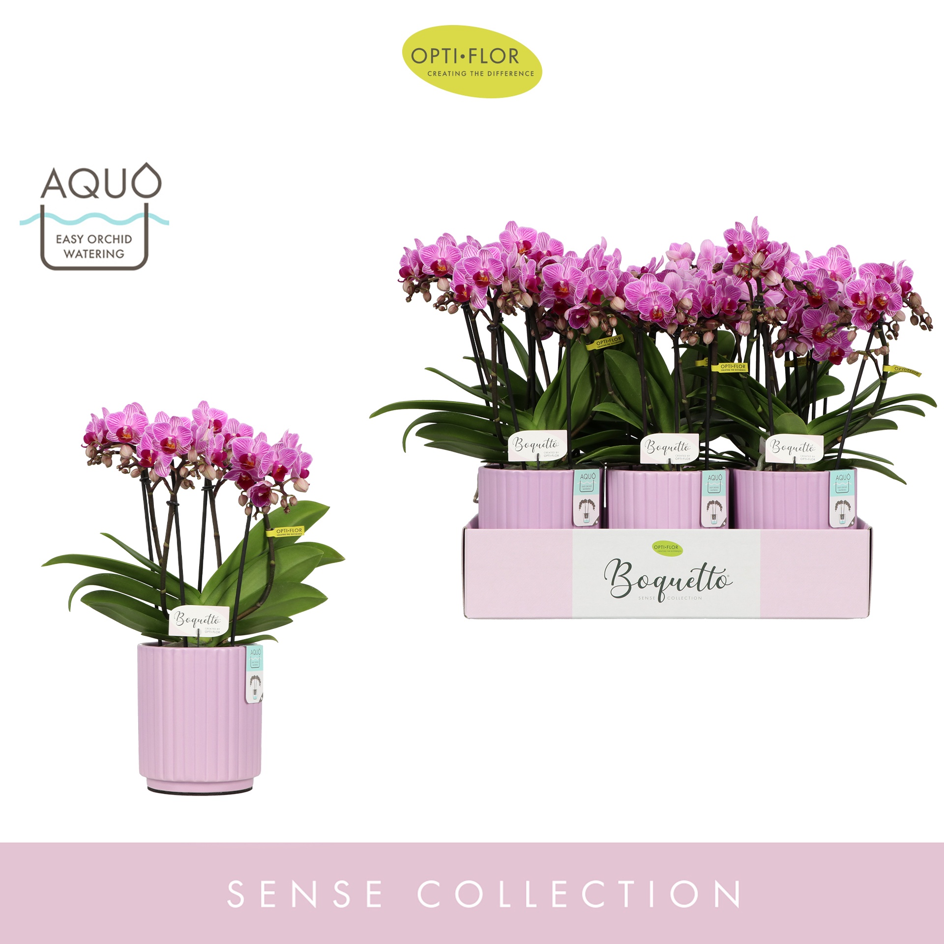 Boquetto Delight 3-5 spike in Molise Lilac Aquo, D 12 cm
