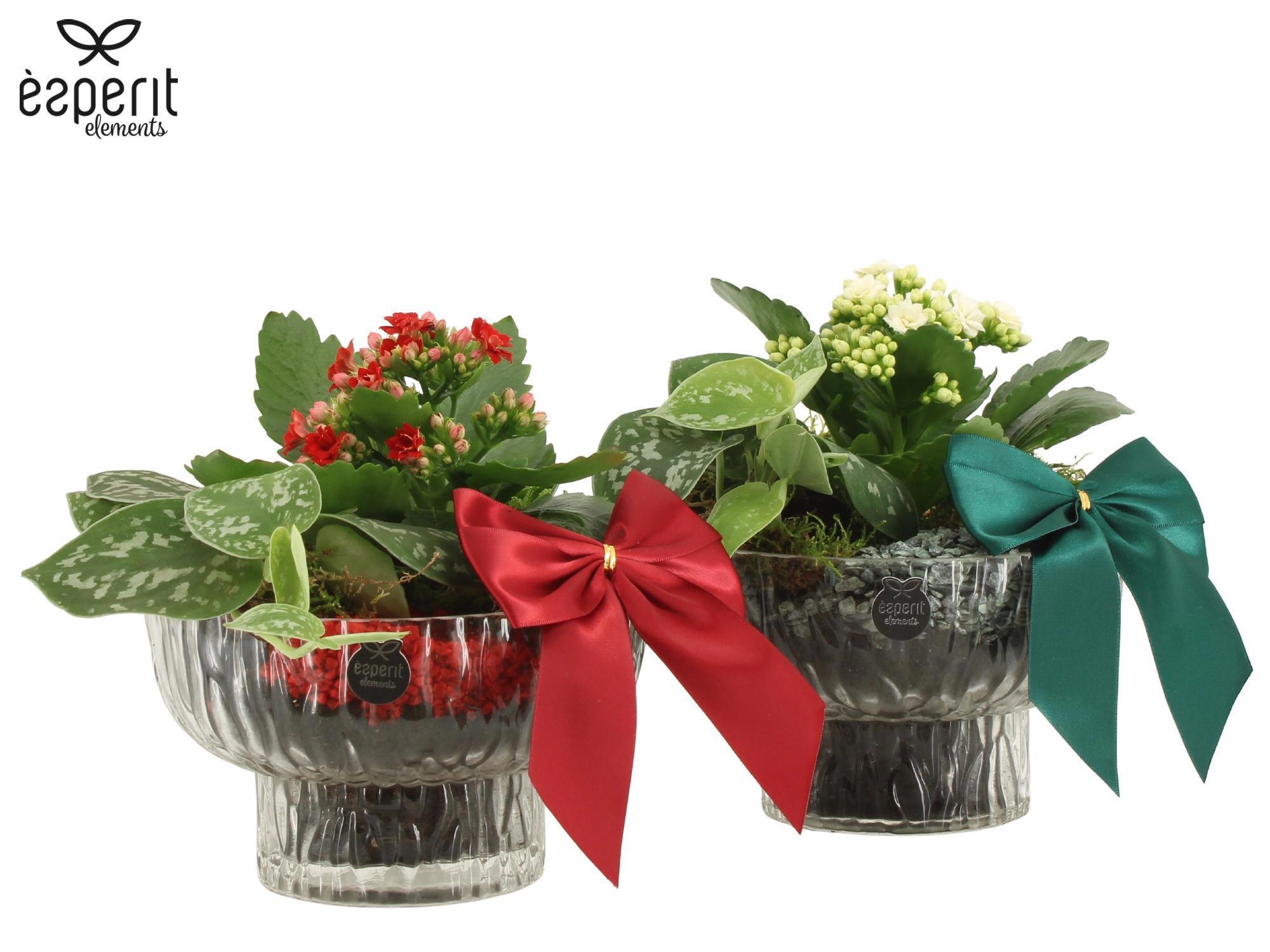 62135: X-mas arrangement, D 16