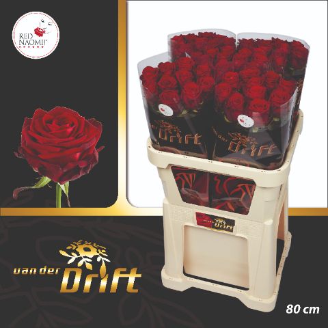 Роза од. Рэд Наоми 80, шт.