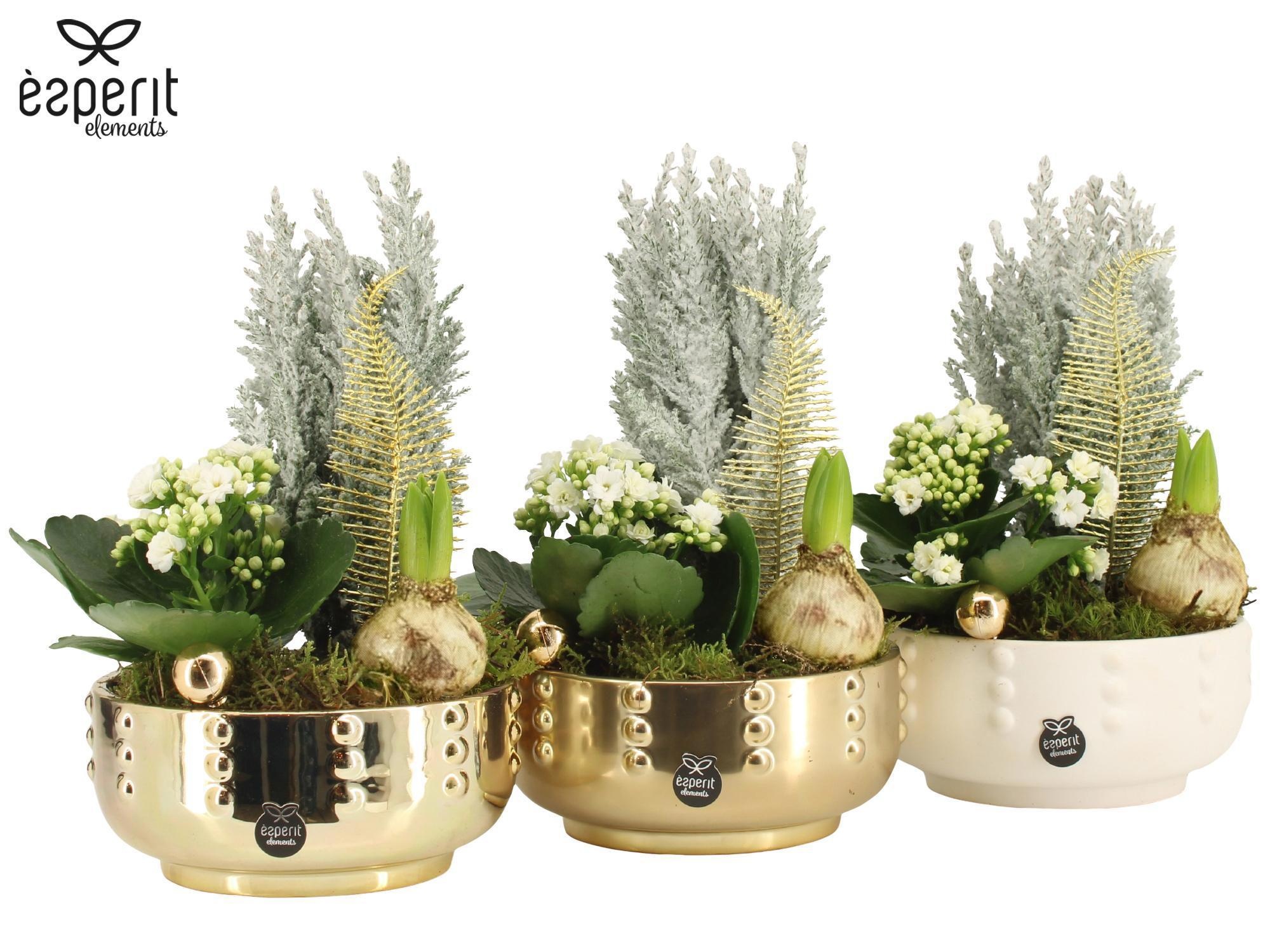 61879: X-mas arrangement, D 17